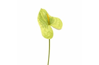 Anthurium en soie – vert – 80 cm