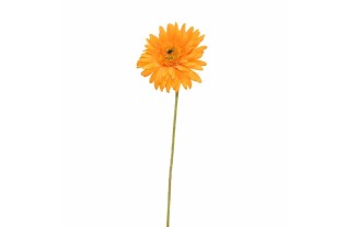 Gerbera en soie synthétique – orange – 55 cm