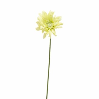 Gerbera van zijde – wit – 65 cm