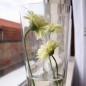 Silk gerbera – white – 65 cm