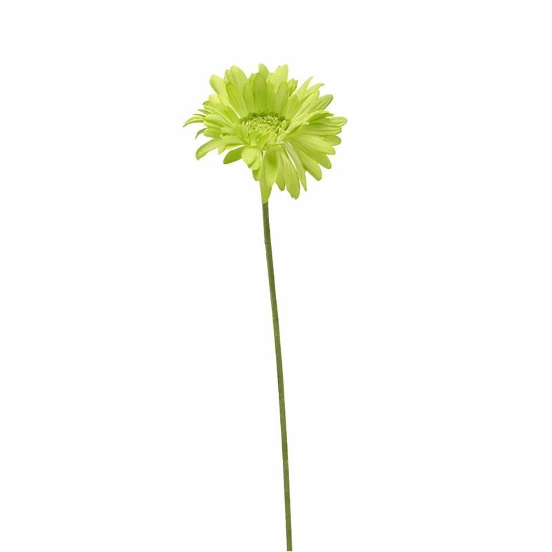 Gerbera en soie – vert – 65 cm