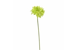 Gerbera van zijde – groen – 65 cm