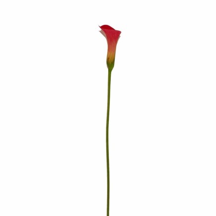 Calla – roze – 75 cm