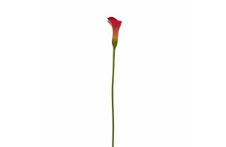 Calla – rose – 75 cm