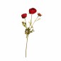 Renoncule en soie synthétique – rouge bordeaux – 65 cm