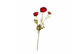 Ranunculus made of synthetic silk – burgundy red – 65 cm