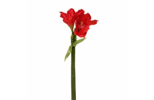 Amaryllis en soie – rouge – 70 cm