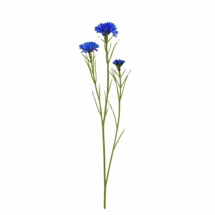 Zijde blauwe korenbloem – 68 cm