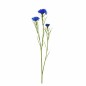 Zijde blauwe korenbloem – 68 cm