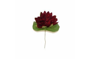 Water Lily with Leaf – Burgundy Red – 12 cm