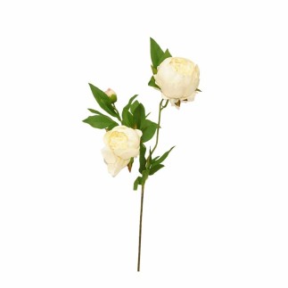 Silk Peony – white – 70 cm