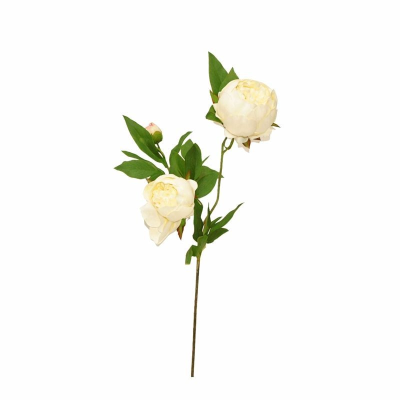 Pioen van zijde – wit – 70 cm