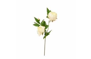 Pivoine en soie – blanche – 70 cm