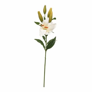 Lelie van zijde – wit – 80 cm