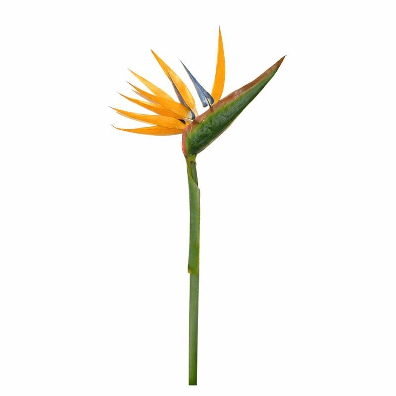 Fleur de Strelitzia en soie – 90 cm