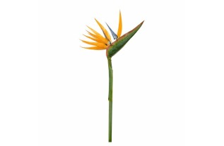 Strelitzia bloem van zijde – 90 cm