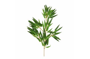 Branche avec feuilles vertes – 70 cm