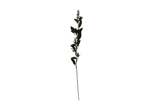 Branche de baies bleues – 85 cm