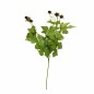 Branche de baies noires – 45 cm