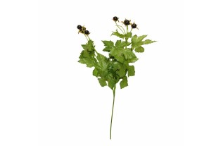 Branche de baies noires – 45 cm