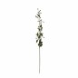 Branche de baies – verte – 75 cm