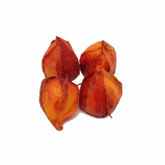 Fleurs de physalis – orange – 5 cm – lot de 4