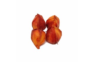 lampion bloem kleur oranje 5 cm groot en per 4 stuks