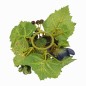Wreath of roses and berries for candle or bottle – blue