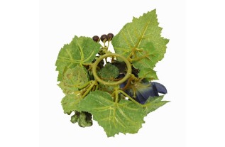 Krans van rozen en bessen voor kaars of fles – blauw