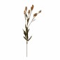 Tak met aren – beige – 70 cm