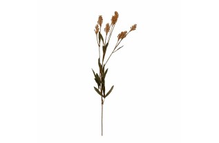 Branche à épis – beige – 70 cm