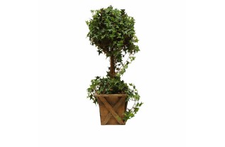 Ivy tree in wooden planter – green – 75 cm