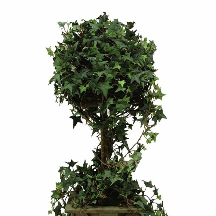 Arbre de lierre en bac en bois – vert – 75 cm