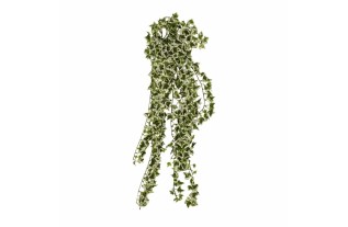 Klimop plant van synthetische zijde – groen & wit – 80 cm