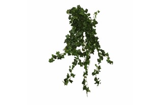 Plante de lierre en soie – vert foncé – 80 cm