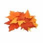 Losse herfstbladeren van zijde – diverse kleuren – 12 stuks