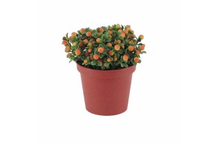 Slaapkamergeluk – kunstplantje met oranje bolletjes – 9 cm