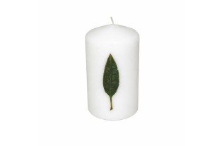 Bougie avec feuille de bananier – blanc | 13 cm de hauteur × 7 cm