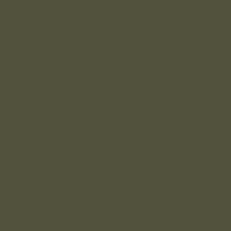 DECORATION PAINT OLIVE GREEN