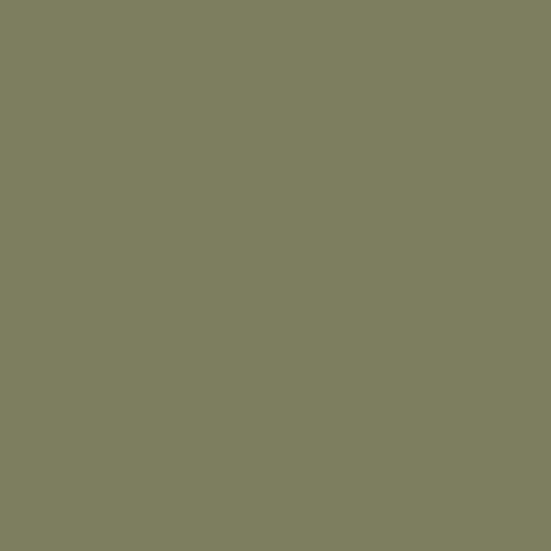 DECORATION PAINT GEORGIAN GREEN