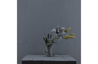 Muurverf Black Lily - Diep Paarsgrijs