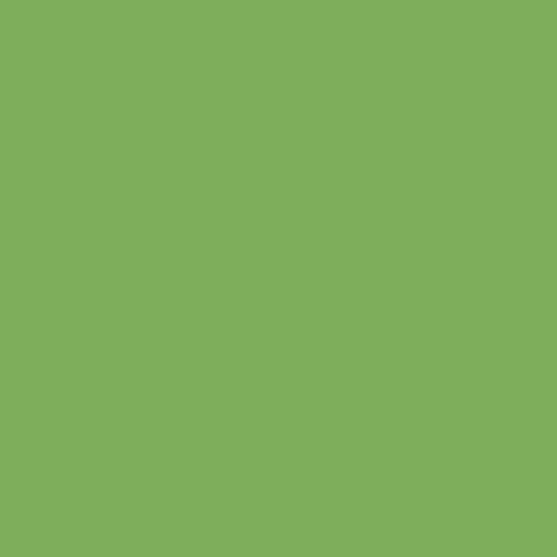 DECORATION PAINT ABSINT GREEN