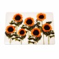 Transparent placemat with sunflower design 28 × 45 cm