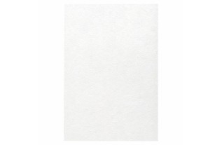 Non-woven Wallpaper Lace Floral Pattern White Gloss