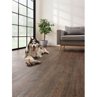 JASPER OAK 01 – COREtec Essentials 1500+ PVC vloer