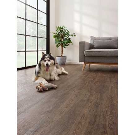 JASPER OAK 01 – COREtec Essentials 1500+ PVC flooring