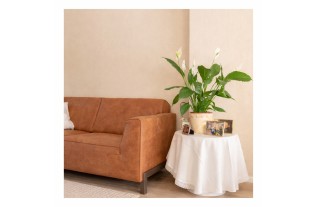 Cyprus White - Warm Beige