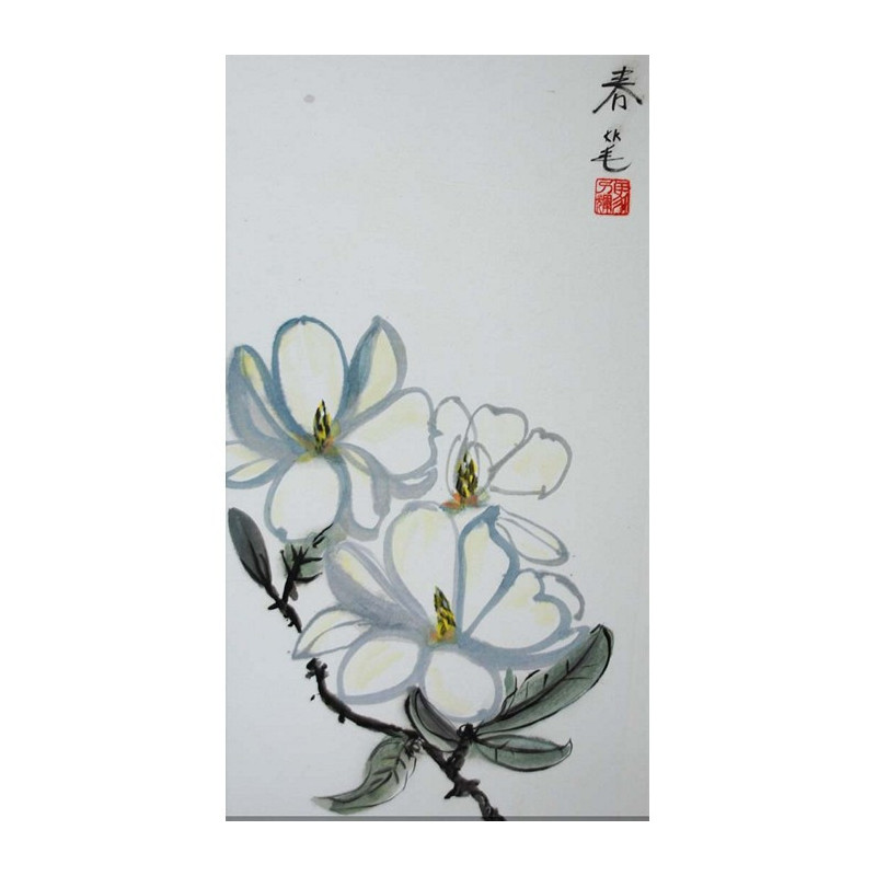 Witte magnolia – contour stijl