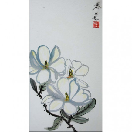 Witte magnolia – Sylvia Radius -contour stijl
