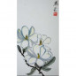 Witte magnolia – Sylvia Radius -contour stijl